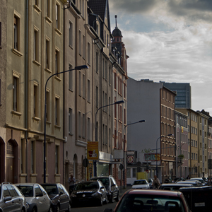 Plants: image 5 0f 20 thumb