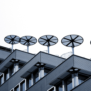 Plants: image 6 0f 20 thumb