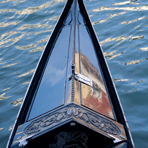 Plants: image 3 0f 20 thumb